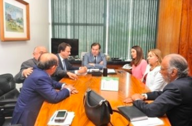 Governadora Margarete Coelho trata sobre ZPE de Parnaíba e juros do BNB com Rodrigo Maia