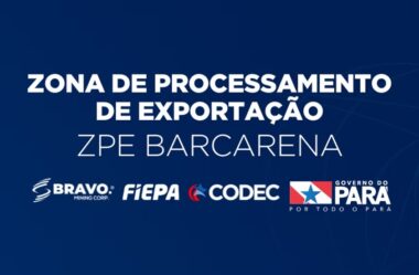 A importância da Zona de processamento de Exportação de Barcarena para o Desenvolvimento Econômico Regional