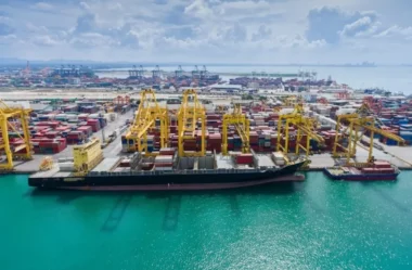 Maranhão 2045: from ore exporter to global player – the vertical integration of rare earth minerals