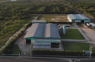 Empresa produtora de cera de carnaúba na ZPE-PI projeta crescimento de 50% em 2026