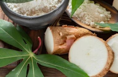 Empresa que atua no Brasil e Argentina vai instalar fábrica na ZPE de Parnaíba
