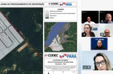 Codec detalha funcionamento da ZPE de Barcarena ao setor produtivo