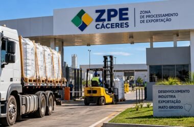 Setor produtivo busca investimentos para industrializar produção de MT